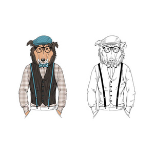 澳大利亚牧羊犬时髦 拟人化动物插画插画 正版商用图片0ulri5 摄图新视界