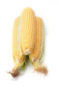 在白色背景下分离的新鲜玉米
