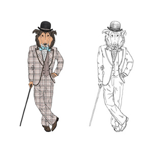 澳大利亚牧羊犬时髦 拟人化动物插画插画 正版商用图片0ulri5 摄图新视界