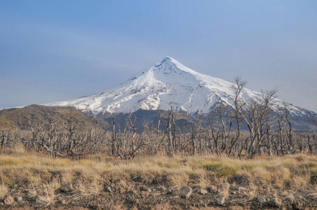 Lanin 火山是阿根廷和智利边境上一个冰层的锥形胡德雪山。它构成了二个国家公园的部分 Lann 在阿根廷和比亚里卡在智利
