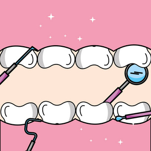 tooth翻譯成英文__toothbrush怎么翻譯