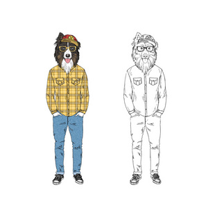 澳大利亚牧羊犬时髦 拟人化动物插画插画 正版商用图片0ulri5 摄图新视界