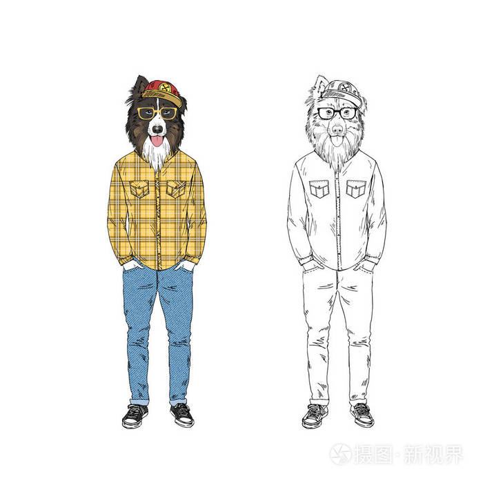 澳大利亚牧羊犬装扮injeans 和格子衫 拟人化动物插画插画 正版商用图片0ulri8 摄图新视界