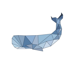 海洋鲸类哺乳动物鲸鱼在多边形样式照片