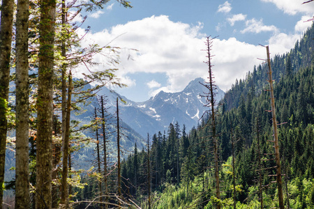 Tatra 山的惊险景观, 波兰