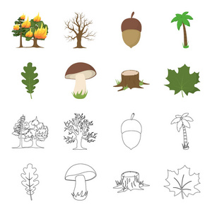 橡树叶, 蘑菇, 树桩, 枫叶。森林集合图标在卡通, 轮廓风格矢量符号股票插画网站