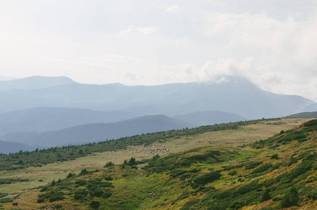 山喀尔巴阡山的风景, 被绿色森林覆盖的丘陵