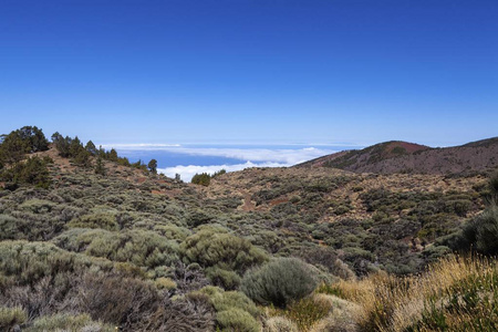 Teide 国家公园景观, 联合国教科文组织世界遗产遗址, Teide 国家公园, 特内里费岛, 加那利群岛, 西班牙, 欧洲