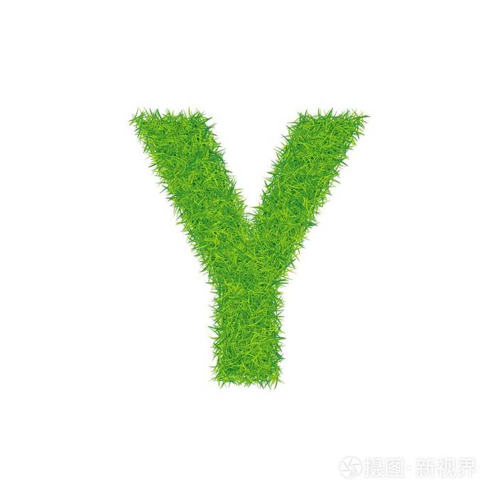 在白色背景上的绿草字母 y