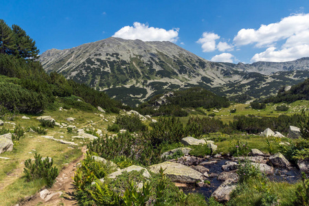 保加利亚 Pirin 山 Banderitsa 河谷景观