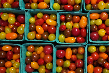 五颜六色的鸡尾酒西红柿在农夫市场上