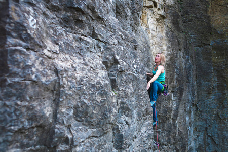 努力向上爬的蚂蚁图片