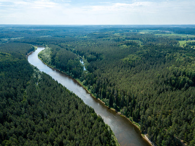 无人机图像。深绿色森林中的蛇河鸟瞰图。一个在拉脱维亚