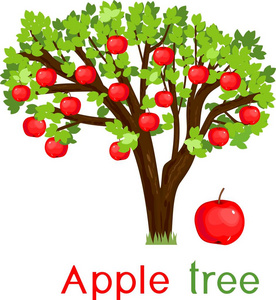 苹果树与绿叶, 成熟的红色果子和标题