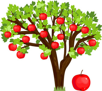 苹果树与绿叶和成熟的红色果子在白色背景