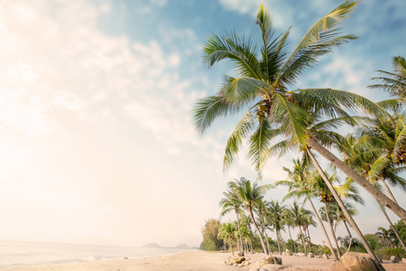 复古自然背景夏季热带海滩椰棕榈树景观。暑期背景概念。复古 instagram 过滤效果
