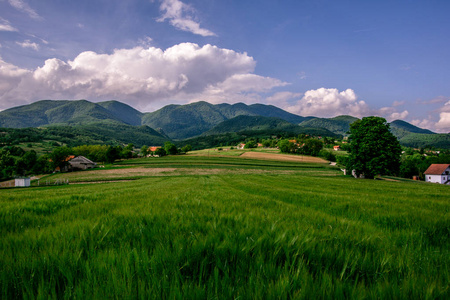 绿色农业领域的风景看法以蓝天和白云和山 Ivanscica 在背景。克罗地亚, 克罗地亚 Zagorje, 春天, 欧洲