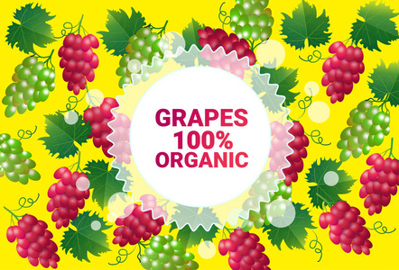 葡萄果彩圈复制空间有机过新鲜水果图案背景健康生活方式或饮食概念向量例证