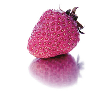 美丽, 成熟, 大明亮的草莓在孤立的背景。分离丁香, 紫草莓