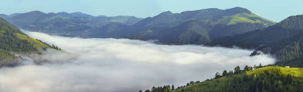 雾景观美丽雾山的壮丽景色。戏剧性的不寻常一幕。旅游背景。探索美的世界。喀尔巴阡山脉。乌克兰。欧洲