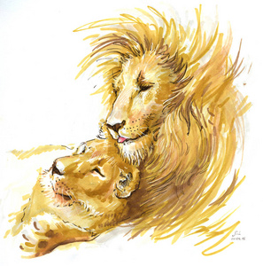 恋爱中的狮子夫妇照片