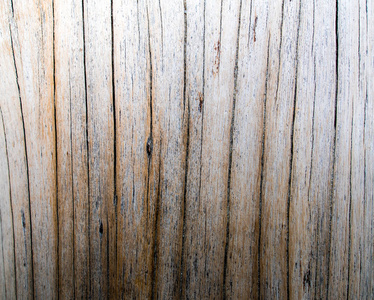 老树桩表面的细节, 木头纹理