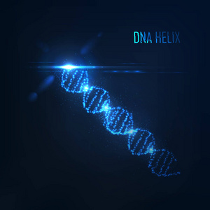 Nenon dna 螺旋由发光粒子组成