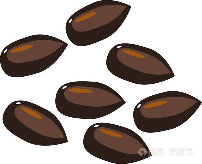 苹果种子在白色背景下