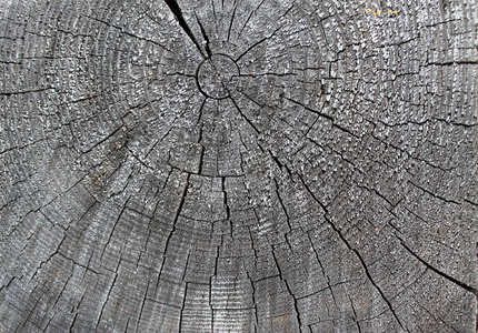 古老的木材质地与自然图案。老树的剖面。暗木质地。自然背景。空模板