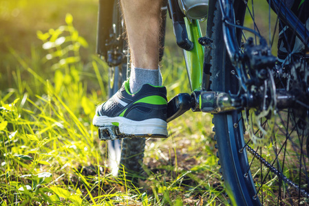 骑自行车骑在绿色的山地自行车在树林里骑马。底部和后视图。积极和极端生活方式的概念