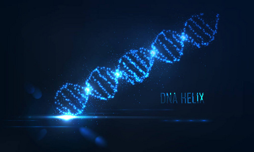 Nenon dna 螺旋由发光粒子组成