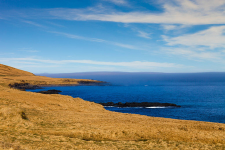 在冰岛东部峡湾的岩石海岸上草