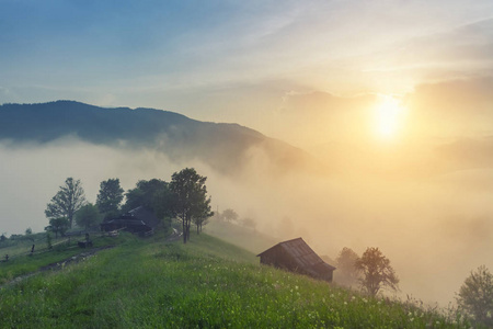 雾景观美丽雾山的壮丽景色。戏剧性的不寻常一幕。旅游背景。探索美的世界。喀尔巴阡山脉。乌克兰。欧洲