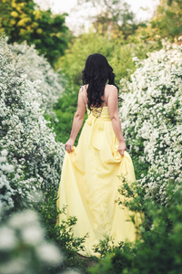 穿黄裙的女孩的背观在绣的灌木丛中行走