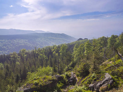 Jizera 山 jizerske hory 全景, 景观与郁郁葱葱的绿色云杉森林和蓝天, 白云背景, 春季