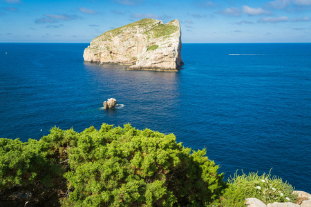 夏日阳光明媚的撒丁岛海岸与 Foradada 岛的景观