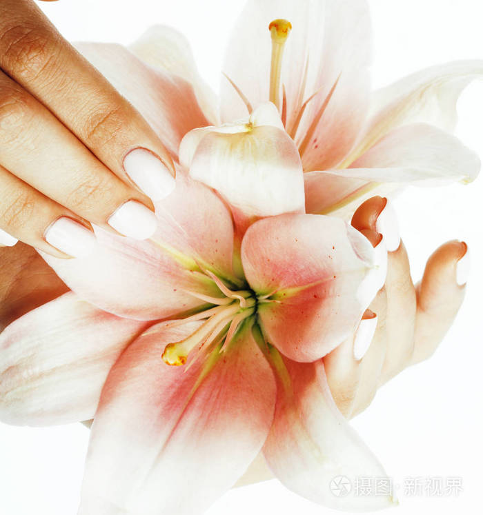 美与修指甲举行花百合双纤弱的手关闭