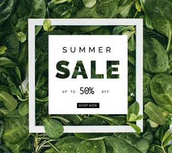 方形白色框架与词夏天销售和美丽的新鲜的绿叶与露水下落