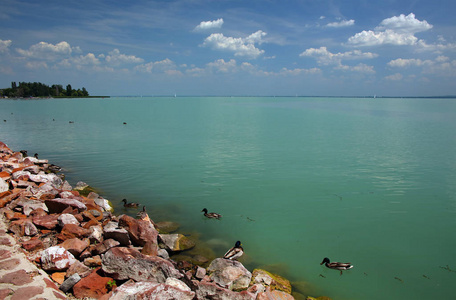 巴拉顿湖湖在匈牙利, 欧洲
