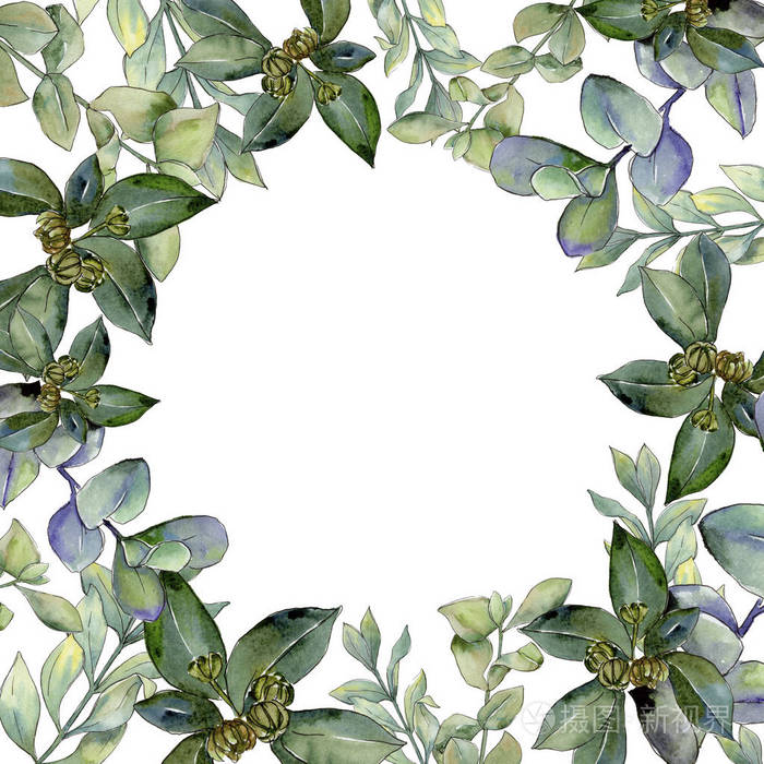 背景,纹理,包装图案,框架或边框的水彩画叶