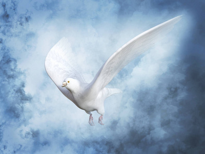 3d 渲染白色的和平鸽子或鸽子飞在天上的云彩周围