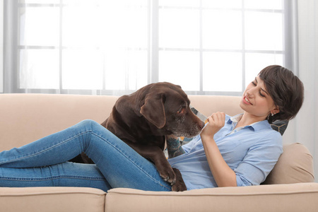 可爱的棕色拉布拉多猎犬与拥有人在沙发室内