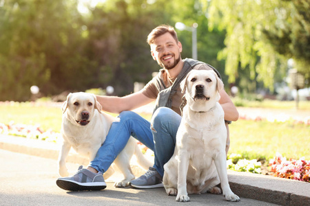 可爱的黄色拉布拉多猎犬与业主户外