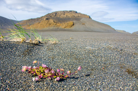 Landmannalaugar惊人的景观在冰岛