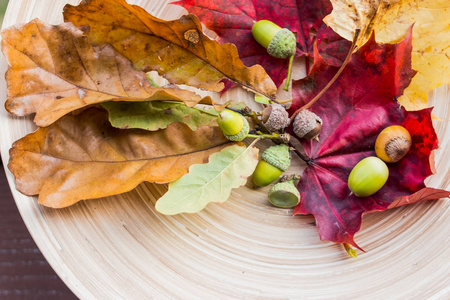 秋季作文的木质背景。秋天的叶子, 橡子, 锥体, 坚果。平躺着五颜六色的树叶。从顶部的视图
