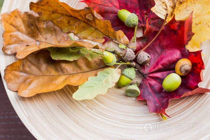 平躺着五颜六色的树叶.从顶部的视图