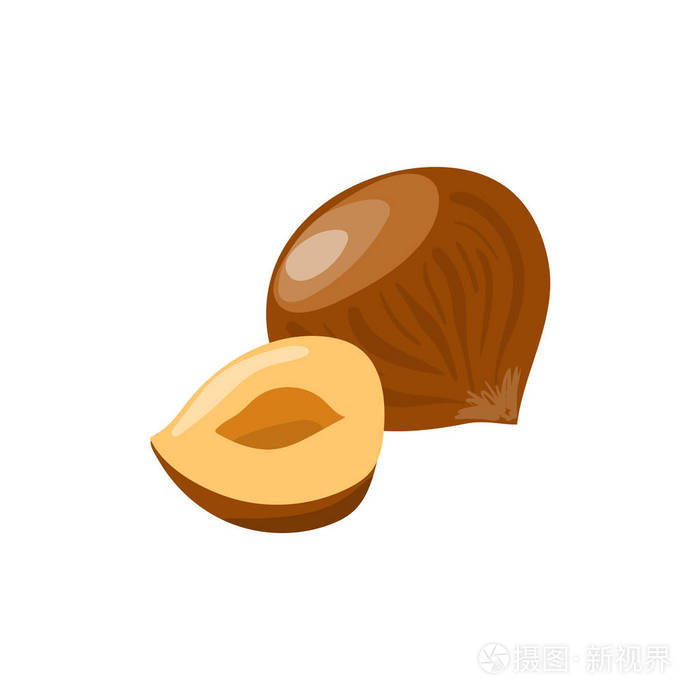 榛子与半矢量图标.健康饮食卡通插图在白色背景下隔离