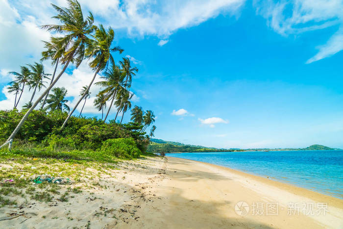 美丽的热带海滩和海与椰子棕榈树在天堂海岛