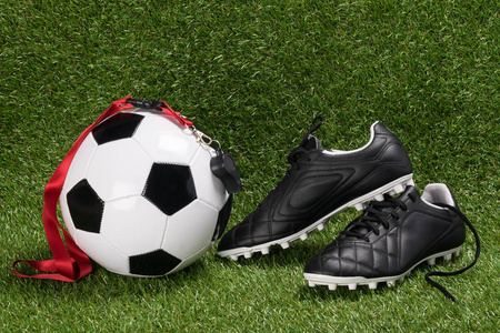 球和鞋为足球的裁判, 在绿色领域的哨子