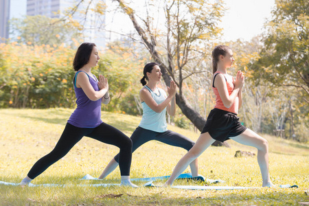假日妇女家庭做瑜伽姿势冥想在公共公园体育健康概念